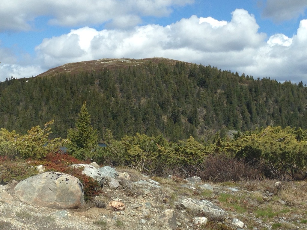 Oppdatering Mobilmast juni 2019