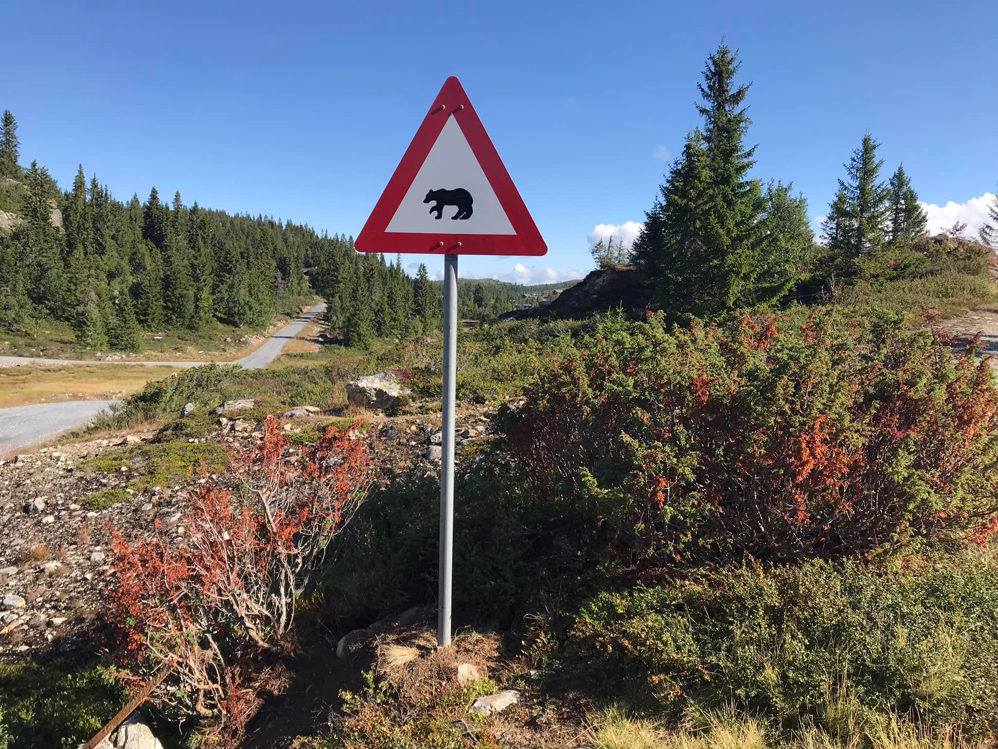 Artikkelbilde til artikkelen Referat styremøte 12062025