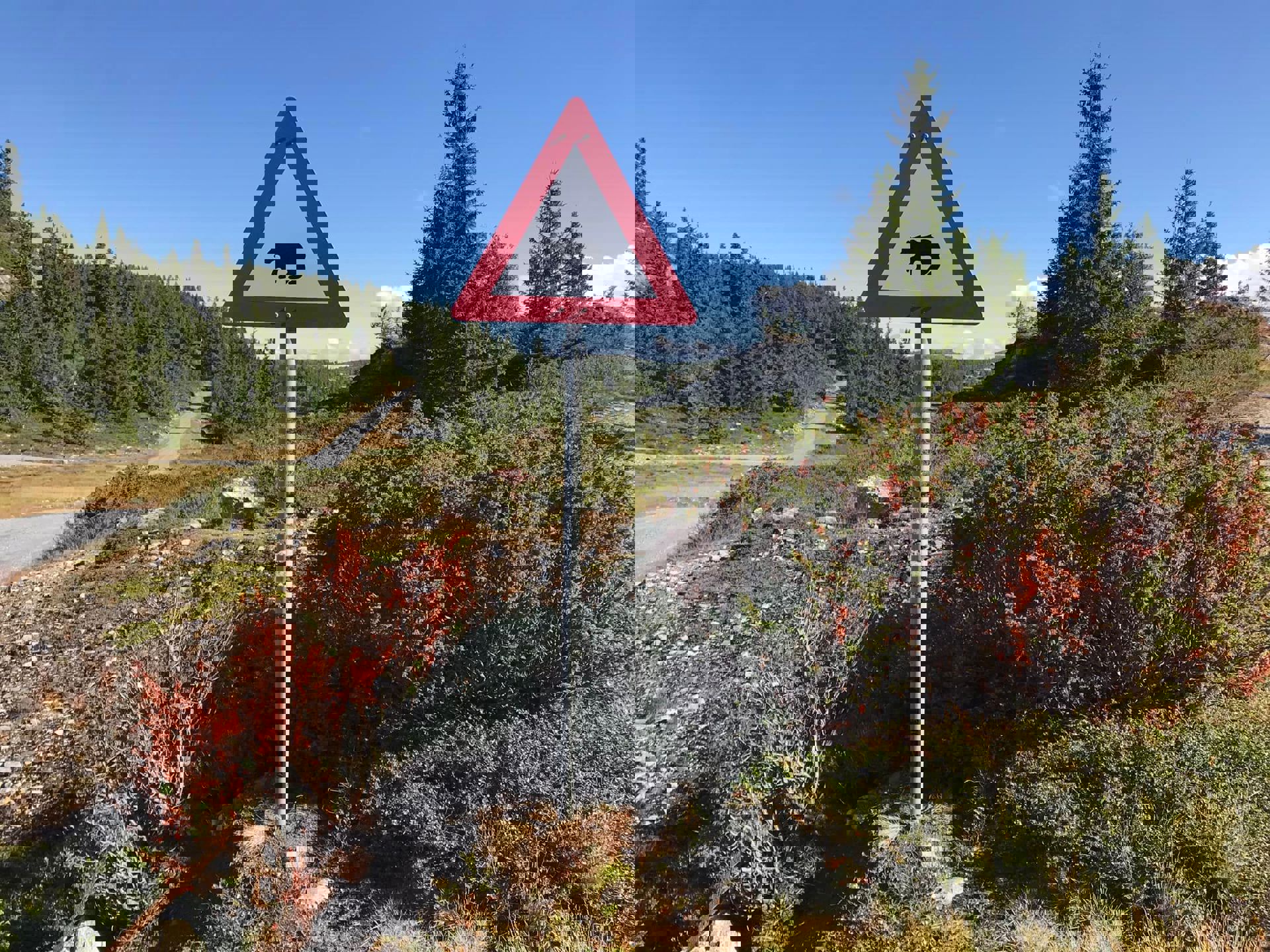 Referat styremøte 12062025