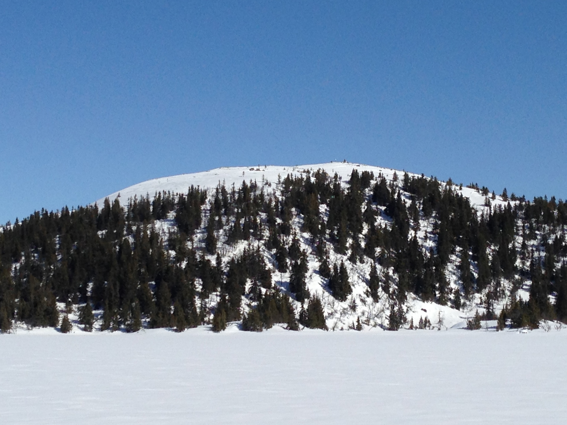 Mobildekning i Nes Østmark 