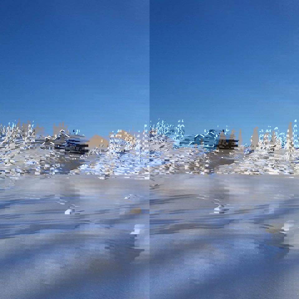 Nye styreleder og kasserer Liemarka vel