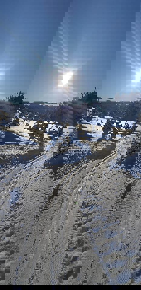 Skiløyper vinteren 2021/2022